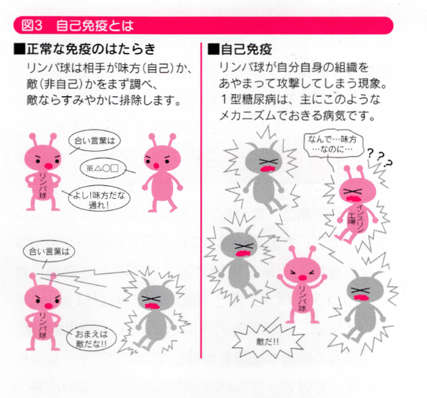 1型糖尿病とその治療 佐賀駅南クリニック