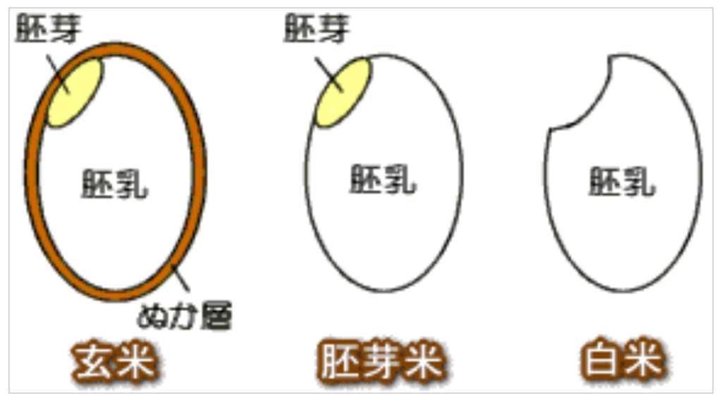 原因 脚気